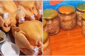 КУРИНАЯ ТУШЕНКА ДЛЯ ЛЕНИВЫХ: В РАЗЫ ВКУСНЕЕ, ЧЕМ МАГАЗИННАЯ