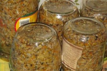 Многие хозяечки заготавливают баклажанную, кабачковую и тыквенную икру. А пробовали ли вы грибную?