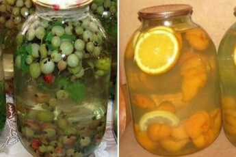 Топ — 2 вкуснейших компотов на зиму, по мнению наших подписчиков