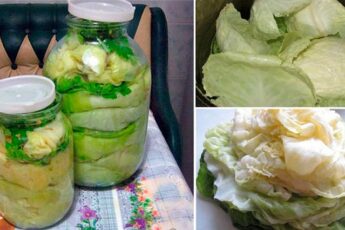 Как заготовить ЛИСТЬЯ для ГОЛУБЦОВ на зиму!