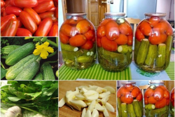 Солим томаты вместе с огурцами Вкусное ассорти обязательно понравится вашим близким.