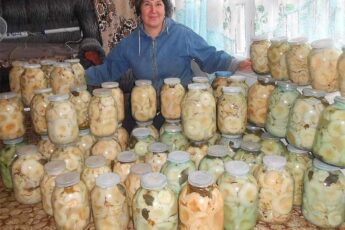 Лучшие рецепты засолки грибов