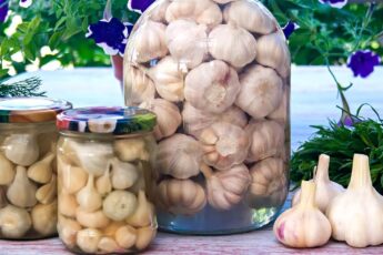 Солим и маринуем чеснок на зиму - 2 вкусных рецепта!