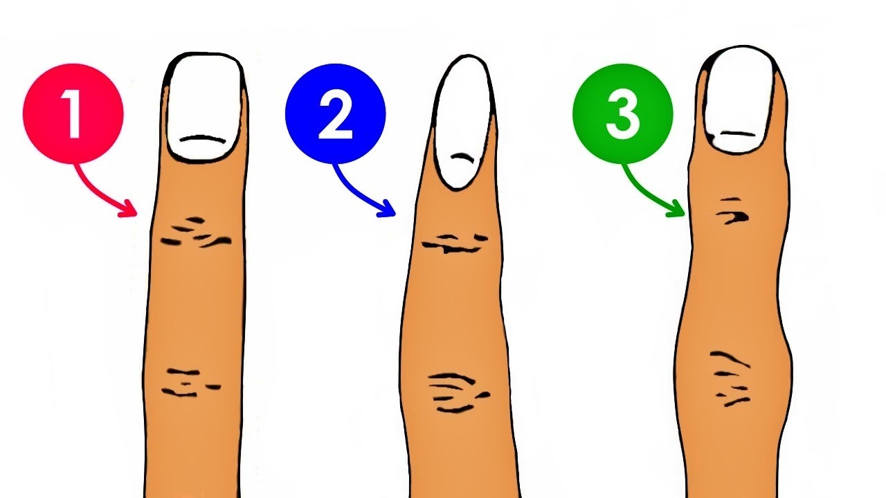 Сколько там пальцев. Форма пальцев. Правильная форма пальцев. Форма руки и пальцев и характер человека.
