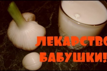 Древнее лекарство: Вот почему наши бабушки советуют варить чеснок в молоке