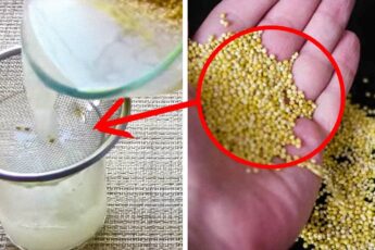 Пшено лечит практически всё! Вот как надо делать...