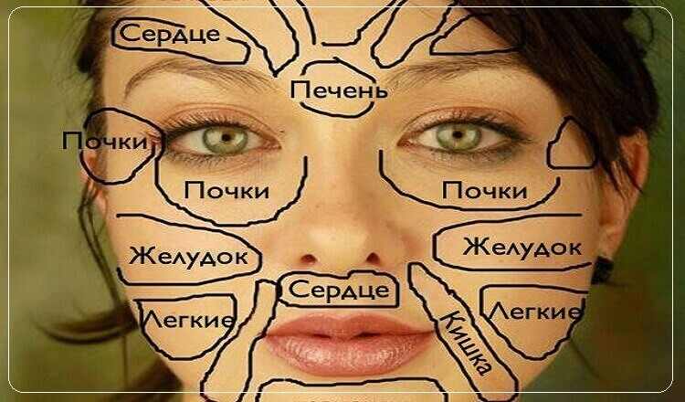 Эта китайская карта лица расскажет, что беспокоит ваш организм!