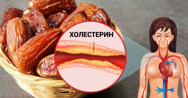 Полезные свойства фиников: лекарство еще никогда не было таким вкусным