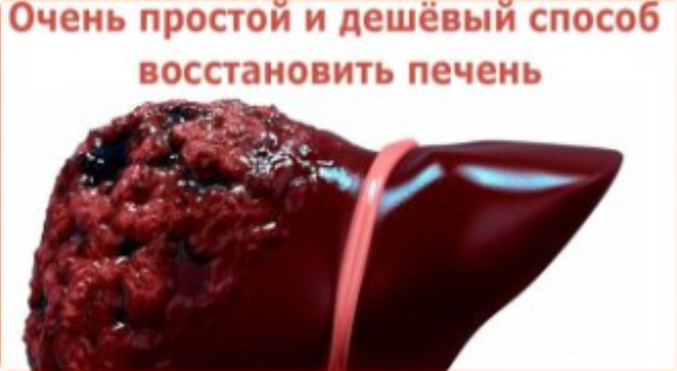 Очень простой и дешёвый способ восстановить печень