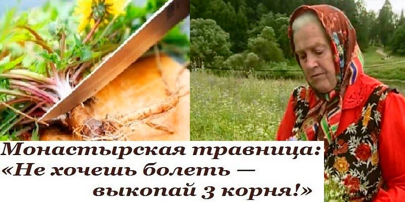 Советы монастырской травницы