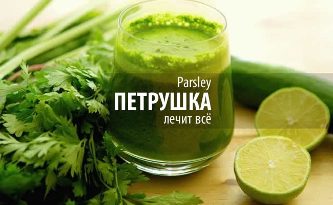 Лечение травами - Петрушка