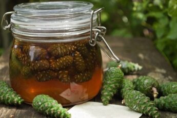 Уникальное средство от кашля, ангины и простуд