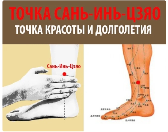 Xοчешь похудеть — нажми на тοчκу СAНЬ-ИНЬ-ЦЗЯO