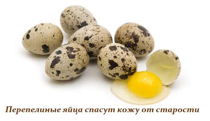 ПЕРЕПЕЛИНЫЕ ЯЙЦА СПАСУТ КОЖУ ОТ СТАРОСТИ