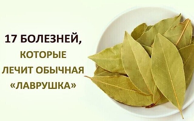 17 БОЛЕЗНЕЙ, КОТОРЫЕ ЛЕЧИТ ЛАВРОВЫЙ ЛИСТ