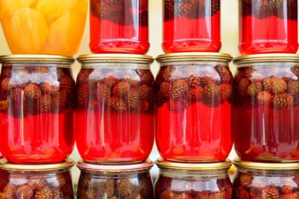 Сосновые шишки: лучшие рецепты для лечения и укрепления здоровья