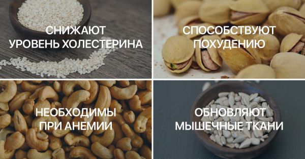 Полезные свойства орехов для организма