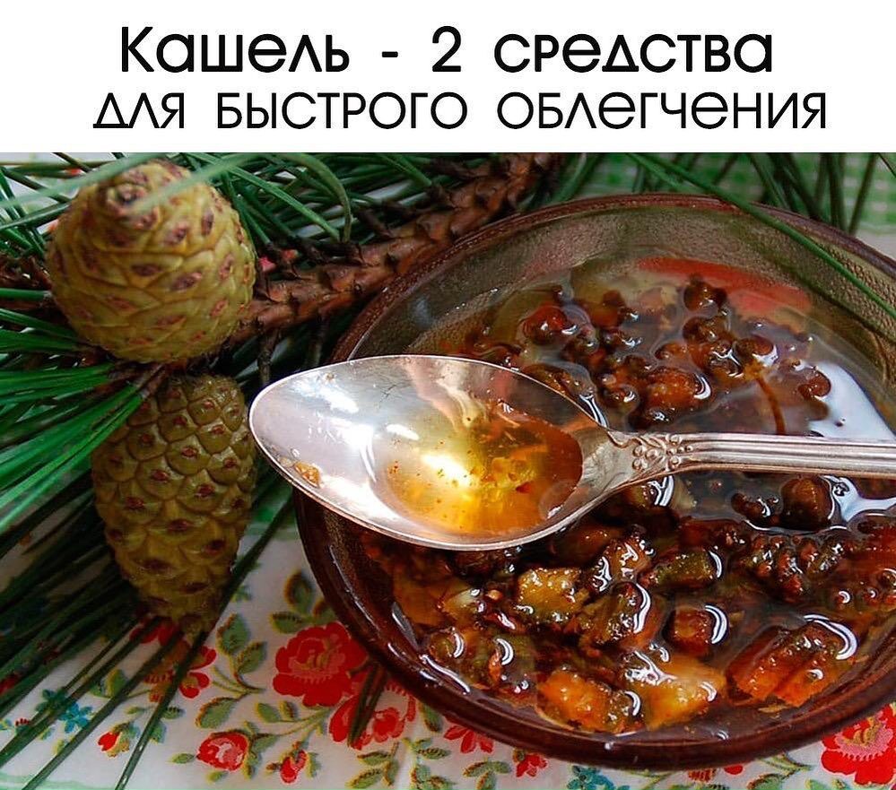 Варенье из сосновых почек