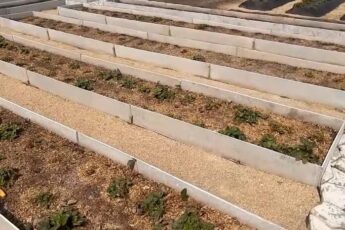 Узкие грядки по методу Лядова. С такими грядками будете спешить на дачу с радостью