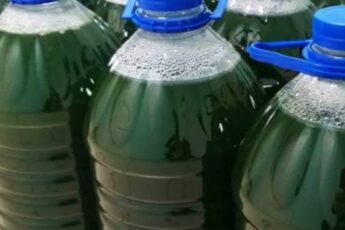 Удобрение для всех растений практически даром. Рецепт опытного садовода