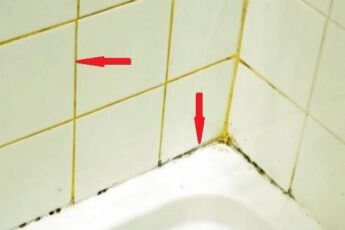 Пожелтели плиточные швы и появилась плесень? Исправить ситуацию проще простого