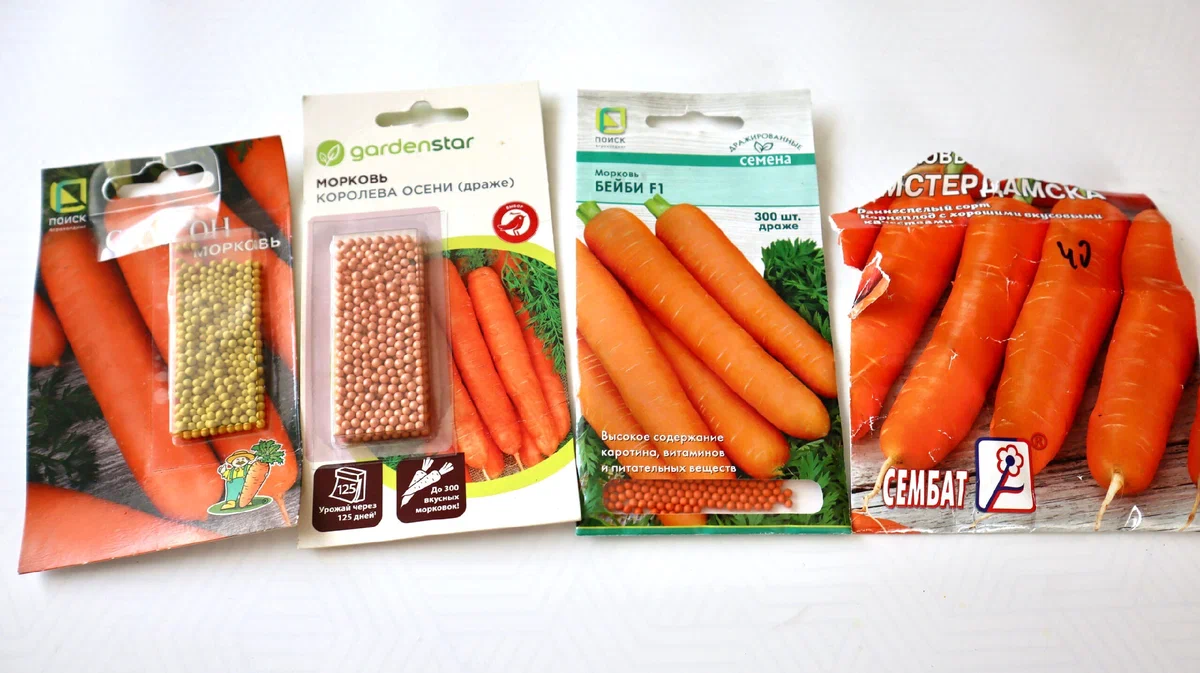 На рынке рассказали, как сеять морковь по-новому, без прореживания. Так и сделала, теперь жду большого урожая осенью