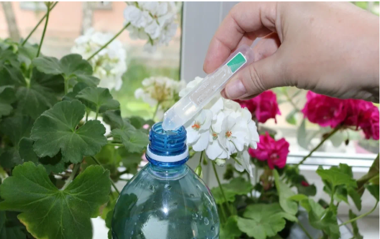 При каждом поливе комнатных растений, добавляю в воду один ингредиент. Цветы пышат здоровьем и хорошо цветут. Делюсь