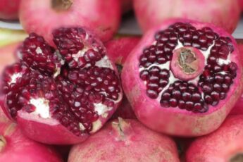 Пожилая бакинка на рынке научила как правильно выбрать спелый и вкусный гранат