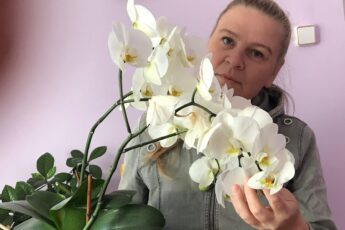 3 коварные ошибки, из-за которых орхидеи не цветут шапками круглый год