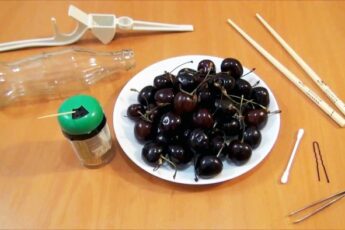 5 способов удалить косточку из вишни без специальных гаджетов