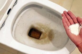 Отлично работающий чистящий порошок для унитаза. Все ингредиенты есть на кухне