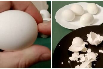 Почистите варёные яйца за 5 секунд. Молниеносный способ, экономящий время