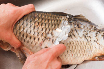 Как быстро почистить карпа от чешуи и не испачкать всю кухню. 2 минуты и готово