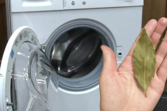 Зачем опытные хозяйки при стирке используют лавровый лист: об этом мало кто знает
