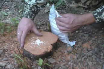 Как избавиться от пня без корчевания. Самый быстрый и эффективный метод