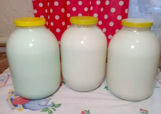 Недавно узнала способ, как можно продлить свежесть молоку, после которого оно храниться до 10 дней не скисая(обязательно берите на заметку)