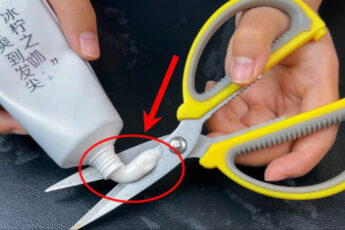 Уникальный метод заточки ножниц, которым теперь пользуются все мои подруги