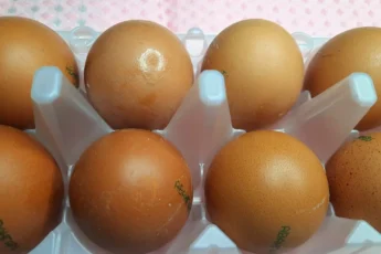 Мало кто знает, какие яйца никогда нельзя покупать в супермаркетах: даже если они свежие и дорогие. Делюсь секретом