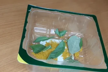 "От моли и след простыл", а из квартиры исчезла вся затхлость. Японская хозяйка поделилась советом про натуральный освежитель, изгоняет моль