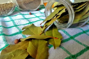 Из квартиры пропала вся затхлость, а от моли и след простыл. Две простые хитрости, которые помогут сделать освежитель и изгонят моль...