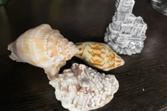 Стала чаще болеть. Выбросила из дома 3 вещи по совету Китаянки и почувствовала прилив сил. Рассказываю, что это за вещи