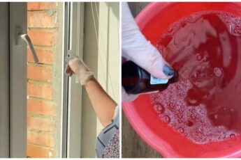 Секрет, как мыть окна и полы так, чтобы они долго оставались чистыми и блестящими