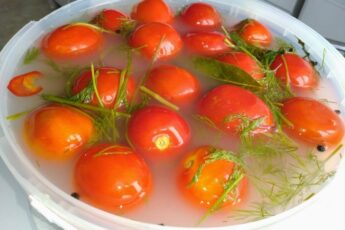 Кисло-сладкие, газированные, квашеные помидоры через 3 дня у вас на столе: простой рецепт