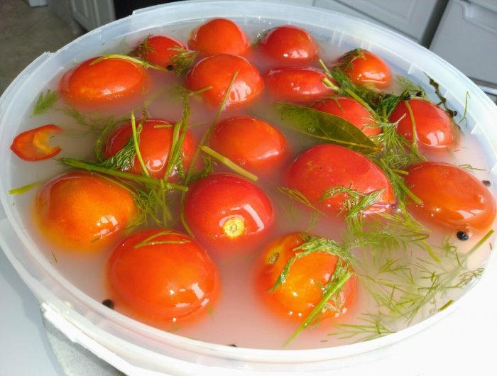 Кисло-сладкие, газированные, квашеные помидоры через 3 дня у вас на столе: простой рецепт