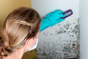 КАК ПРАВИЛЬНО УБРАТЬ ЧЕРНУЮ ПЛЕСЕНЬ НАВСЕГДА