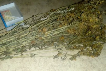 Как правильно окуривать дом травами и для чего это нужно