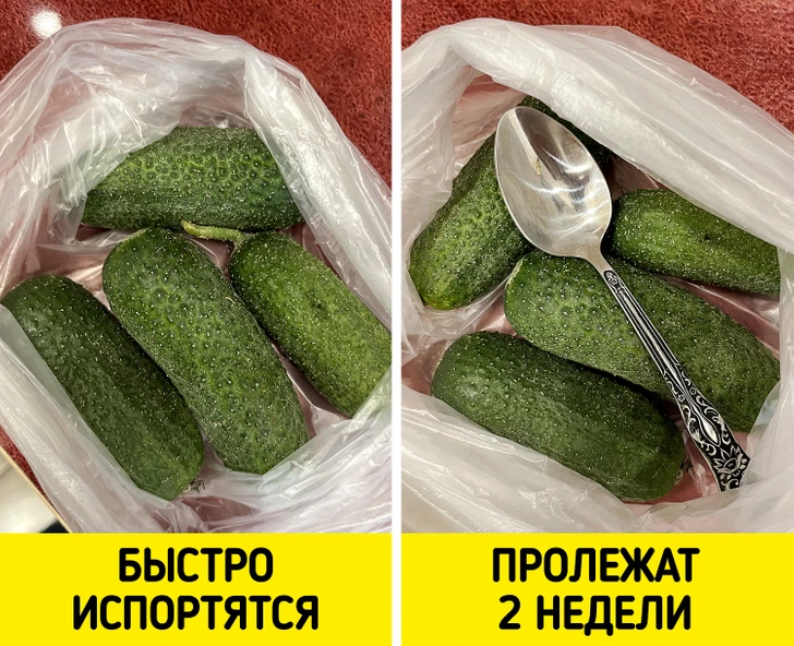 14 непривычных способов хранения продуктов, которые кажутся абсурдными. А потом пробуешь, и они реально работают