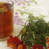 Цветы, которые вылечат желудок, зрение и печень! Растут на каждой клумбе…