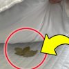 Класть лавровый лист под подушку перед сном: старый обычай наших бабушек и дедушек!