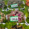 Узнала от знакомой как экономят деньги китайцы и стала жить так же